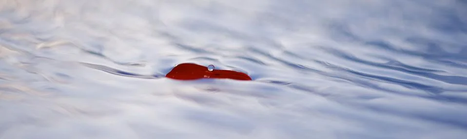 Leaf floating on rippled water surface Foto stock