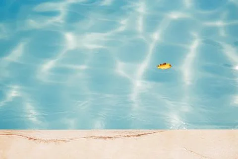 Leaf floating on swiming pool Stock Photos