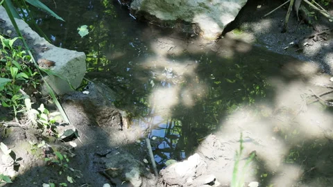 Leaf floats on a narrow stream Stockbeeldmateriaal 131036854