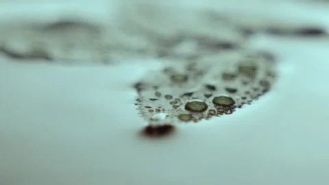 Leaf floats on stable water surface with small drops Stock Footage 236708585