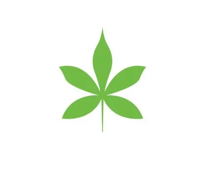 Leaf floral patterns logo and symbols on a white background Stock Illustration