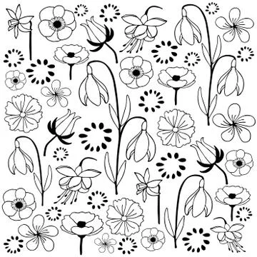 Leaf &amp; flower set 4 black &amp; white Stock Illustration