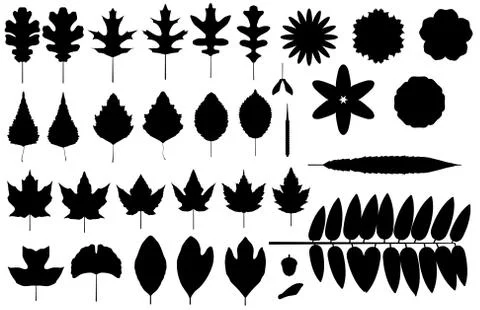 Leaf flower silhouettes Stock Illustration