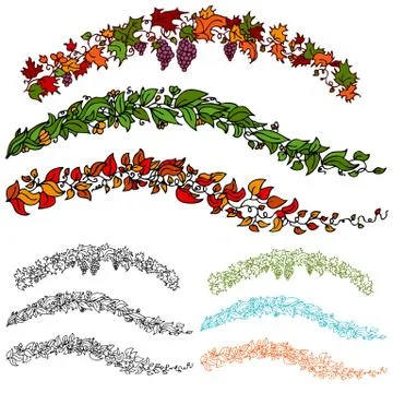 Leaf flower vine set Stock Illustration