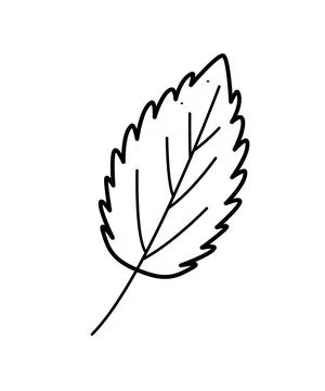 A leaf of a forest tree icon. Vector illustration of a cartoon branch with .. Illustrazione stock