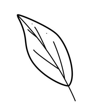 A leaf of a forest tree icon. Vector illustration of a cartoon branch with .. Illustrazione stock