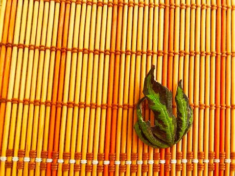 A leaf in the form of a trident lies on the table. Stock Photos