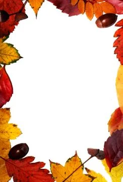 Leaf frame Stock Illustration