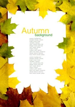 Leaf frame Stock Photos