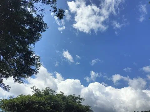 Leaf Frame Sky View Stock Photos