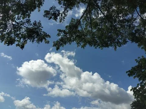 Leaf Frame Sky View Stock Photos