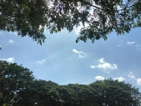 Leaf Frame Sky View Stock Photos