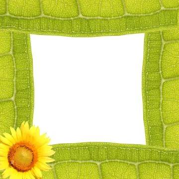 Leaf frame with sunflower Illustrazione stock