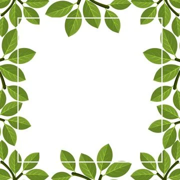 Leaf frame on white background vector illustration Stock-Illustration