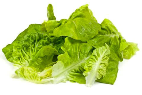 Leaf fresh lettuce Foto stock
