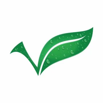 Leaf fresh vector illustration Stock Illustration