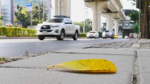 Leaf Got blown away by the wind on the sidewalk in Thailand, Perspective Of Road Stock Footage 262773622