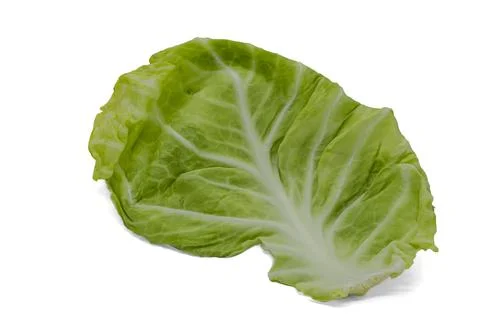 Leaf of green cabbage on a white background closeup Stock Photos