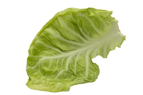Leaf of green cabbage on a white background close up Foto stock