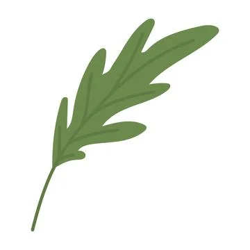 Leaf of green color with stem in a white background Stock Illustration