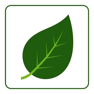 Leaf green icon Stock Illustration