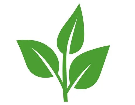 Leaf green nature icon. Vector flat illustration of organic sprout with three Stock Illustration