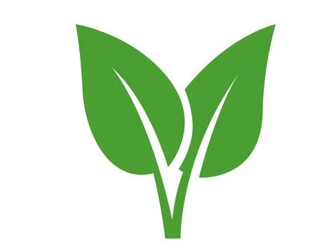 Leaf green nature icon. Vector flat illustration of two leaves on a stem isol Stock Illustration