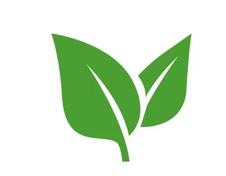Leaf green nature icon. Vector flat illustration of two sharp rising leaves.. Stock Illustration