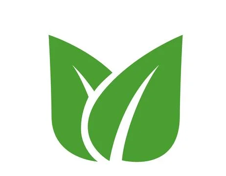 Leaf green nature icon. Vector flat illustration of two leaves forming a cu.. Stock Illustration