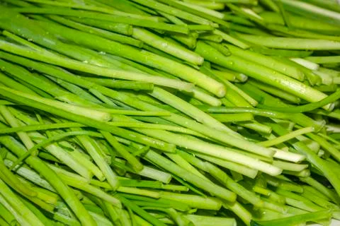 Leaf of Green Onion, Spring Onion, Scallion Stock Photos