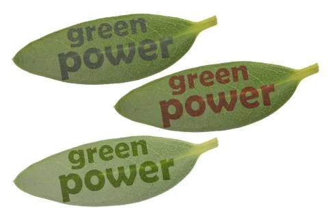 Leaf green power words Stock Photos