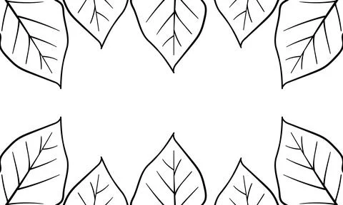 Leaf hand drawn background with nature theme Stock Illustration