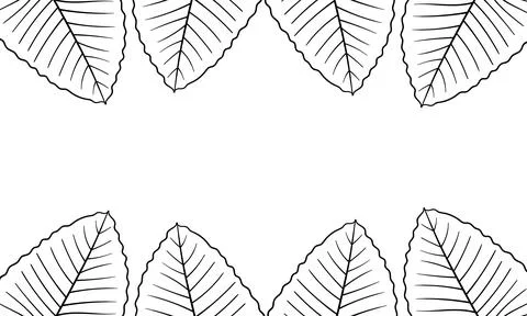 Leaf hand drawn background with nature theme4 Stock Illustration