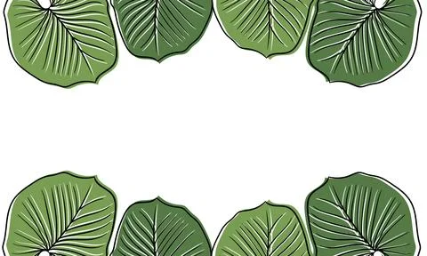 Leaf hand drawn illustration background3 Illustrazione stock