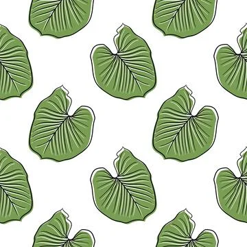 Leaf hand drawn illustration background4 Stock Illustration