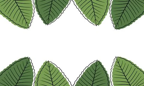 Leaf hand drawn illustration background4 Stock Illustration