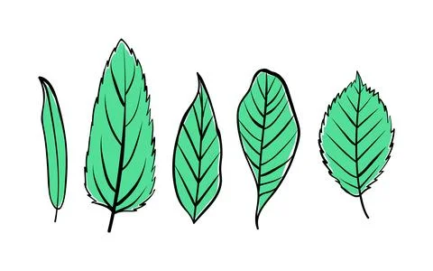 Leaf hand drawn illustration flat Illustrazione stock