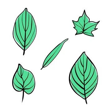 Leaf hand drawn illustration flat Illustrazione stock
