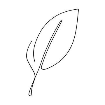 Leaf hand drawn line art one continuous.Vector illustration Stock Illustration