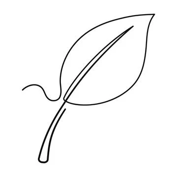 Leaf hand drawn line art one continuous.Vector illustration Stock Illustration