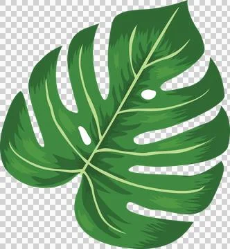 Leaf, hand drawn Stock Photos