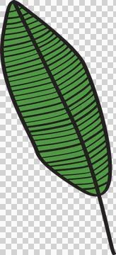 Leaf, hand drawn Stock Photos