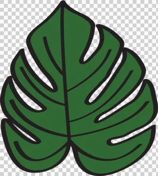 Leaf, hand drawn Stock Photos