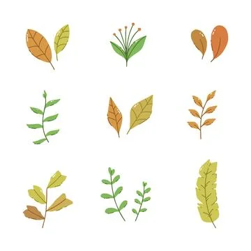 Leaf hand drawn vector illustration Stock Illustration
