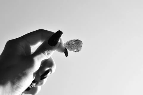 Leaf in hand 写真素材