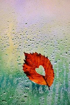 A leaf with a heart on a rainy window Stock Photos