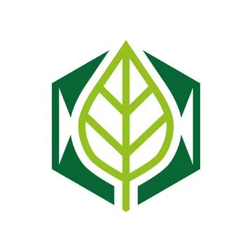 Leaf Hexagon Logo Design with Eco Nature Sustainable Business Mark Stock Illustration