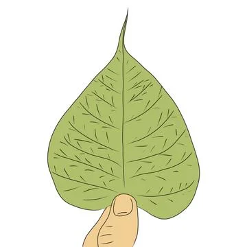 Leaf holding in hand vector image Stock Illustration