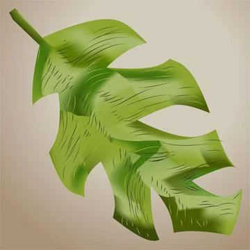 A Leaf of House Plant Simple Vector Illustration Illustrazione stock