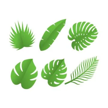 Leaf icon design vector illustration. Abstract Leaf icon vector concept for n Stock-Illustration